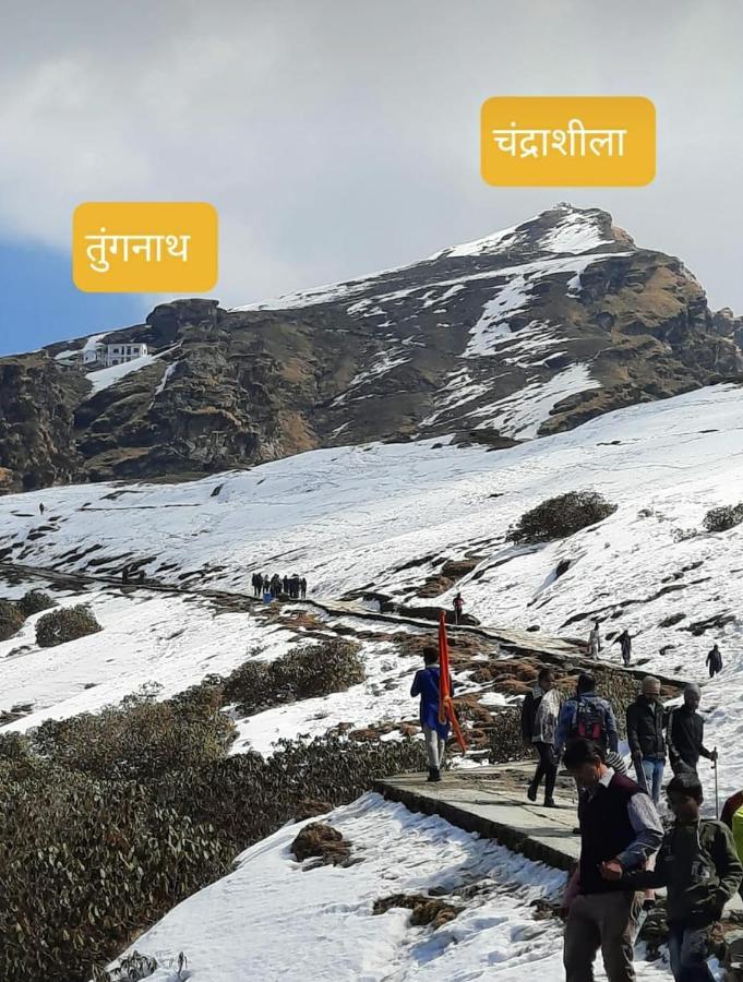 Pandava'S Cafe & Stay Chopta Екстериор снимка